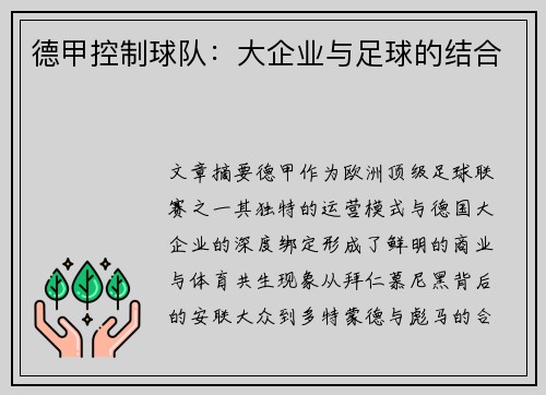 德甲控制球队：大企业与足球的结合