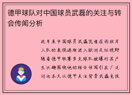 德甲球队对中国球员武磊的关注与转会传闻分析
