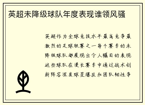 英超未降级球队年度表现谁领风骚